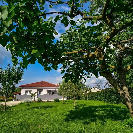 Holiday home Ankin Dvor *